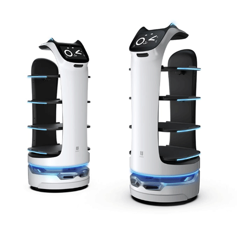 ALQUILAR Robot camarero Bellabot